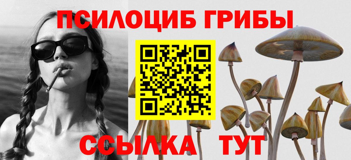 купить закладку  Вход с VPN  Батайск  Псилоцибиновые грибы MAGIC MUSHROOMS 